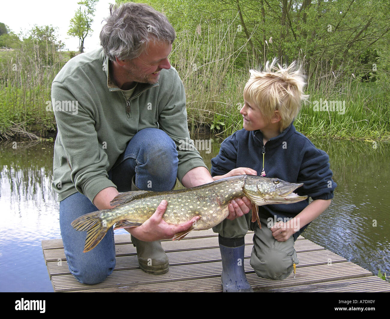pike, northern pike (Esox lucius), father and son with angled pike Stock Photo
