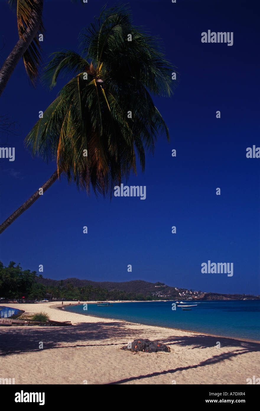 beach, Grand Anse beach, Grand Anse Bay, Grenada Stock Photo Alamy