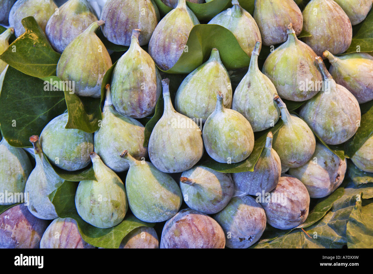 edible fig, common fig (Ficus carica), figs at the market stand, Spain