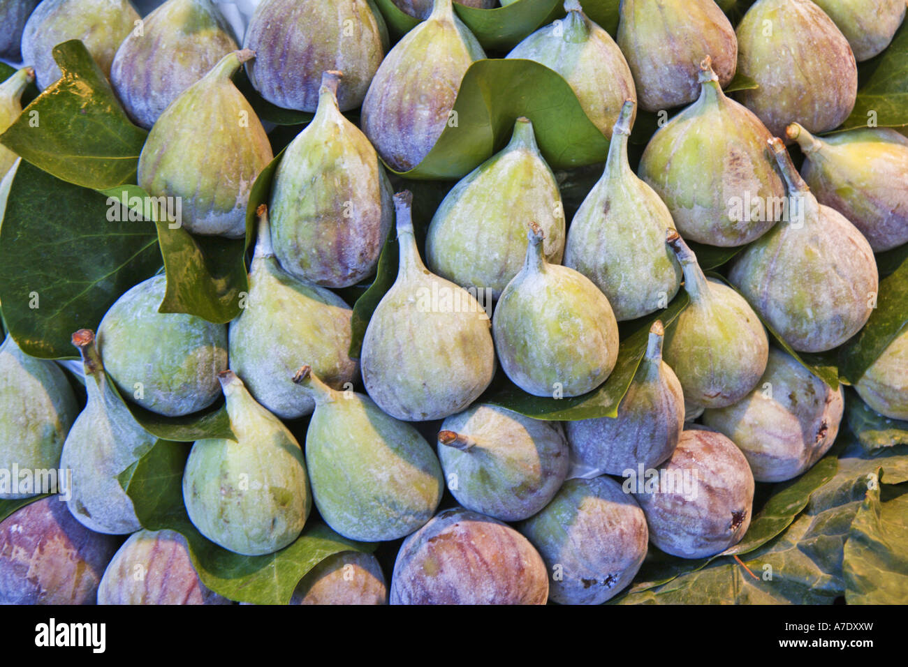 edible fig, common fig (Ficus carica), figs at the market stand, Spain, Katalonia, La Boqueria, Barcelona Stock Photo