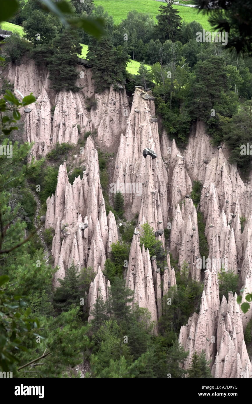 earth pillars in the forest, Italy, Suedtirol, Ritten Stock Photo Alamy
