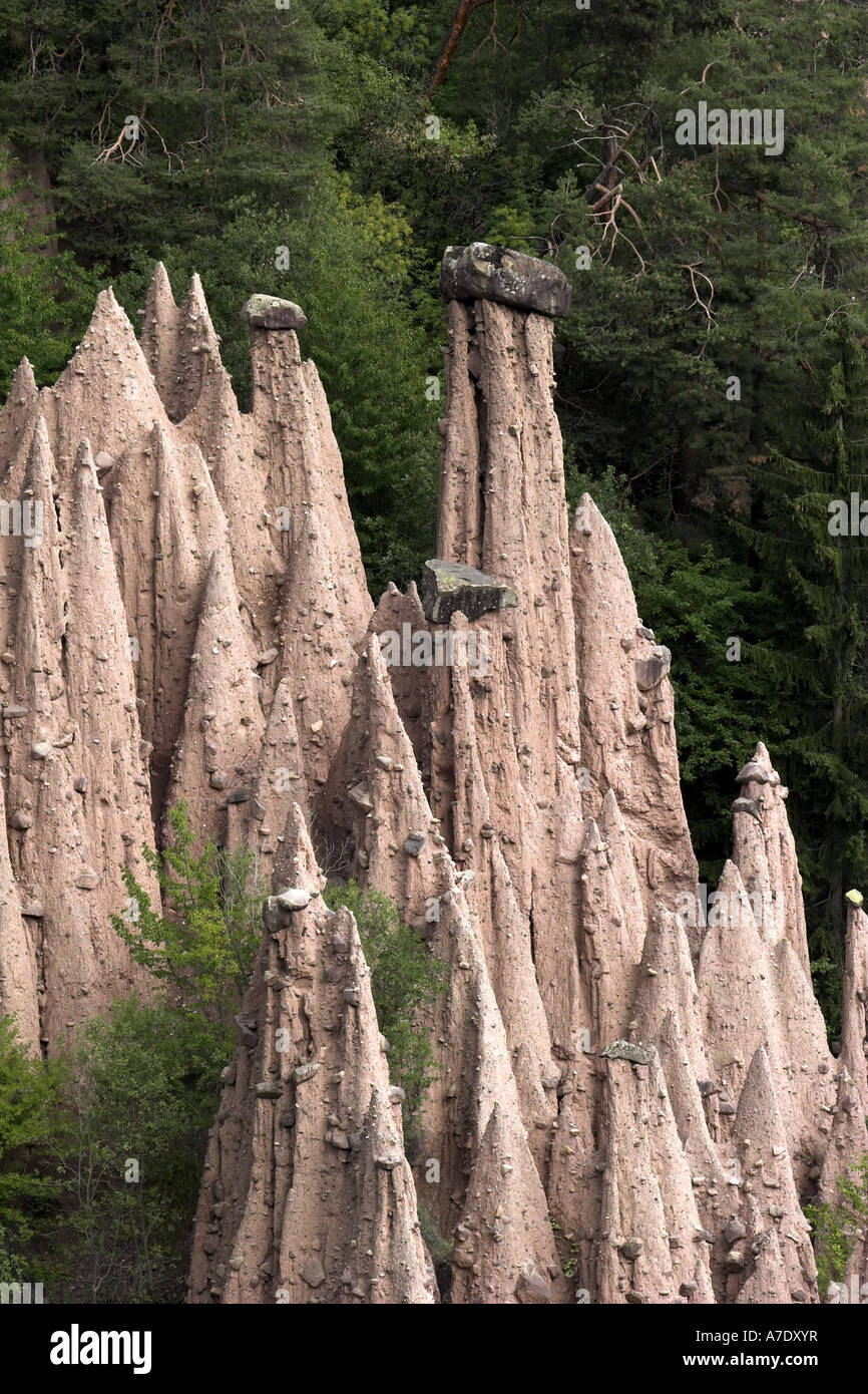 earth pillars in the forest, Italy, Suedtirol, Ritten Stock Photo Alamy