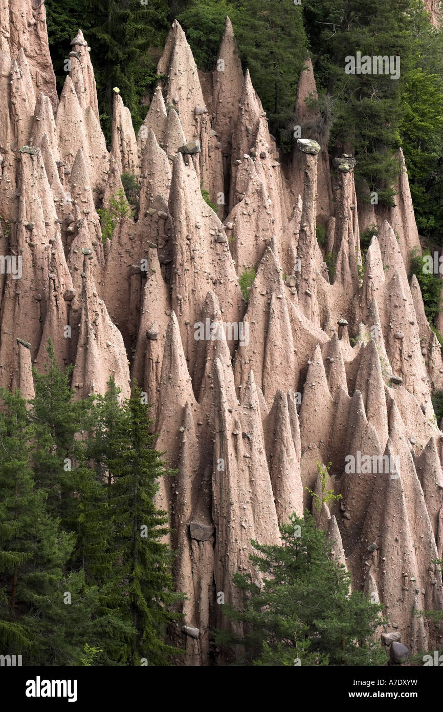 earth pillars in the forest, Italy, Suedtirol, Ritten Stock Photo Alamy