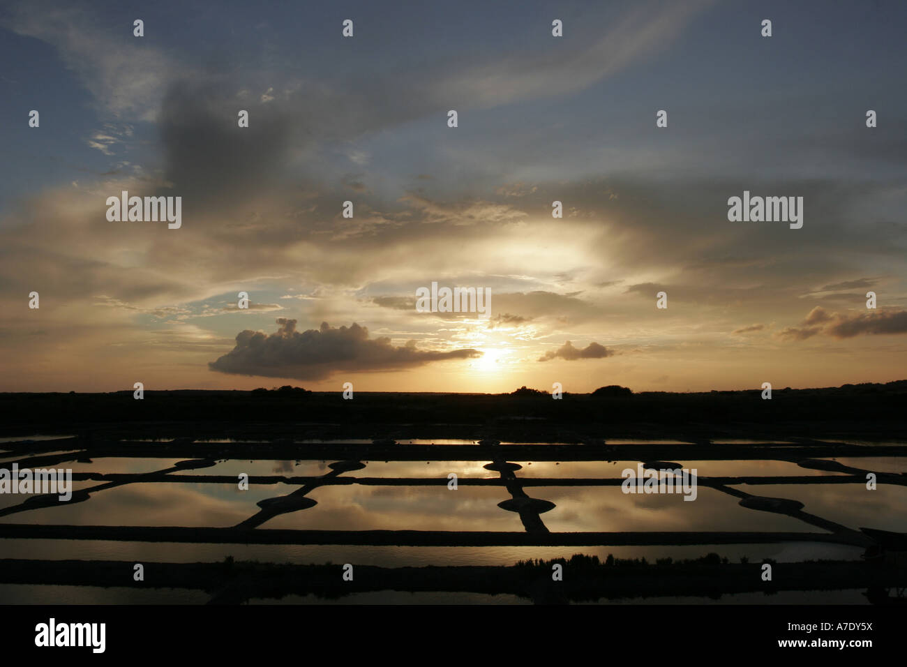 salt marshes back light at sunset, France, Loire Atlantique, NP Briere, Guerande Stock Photo