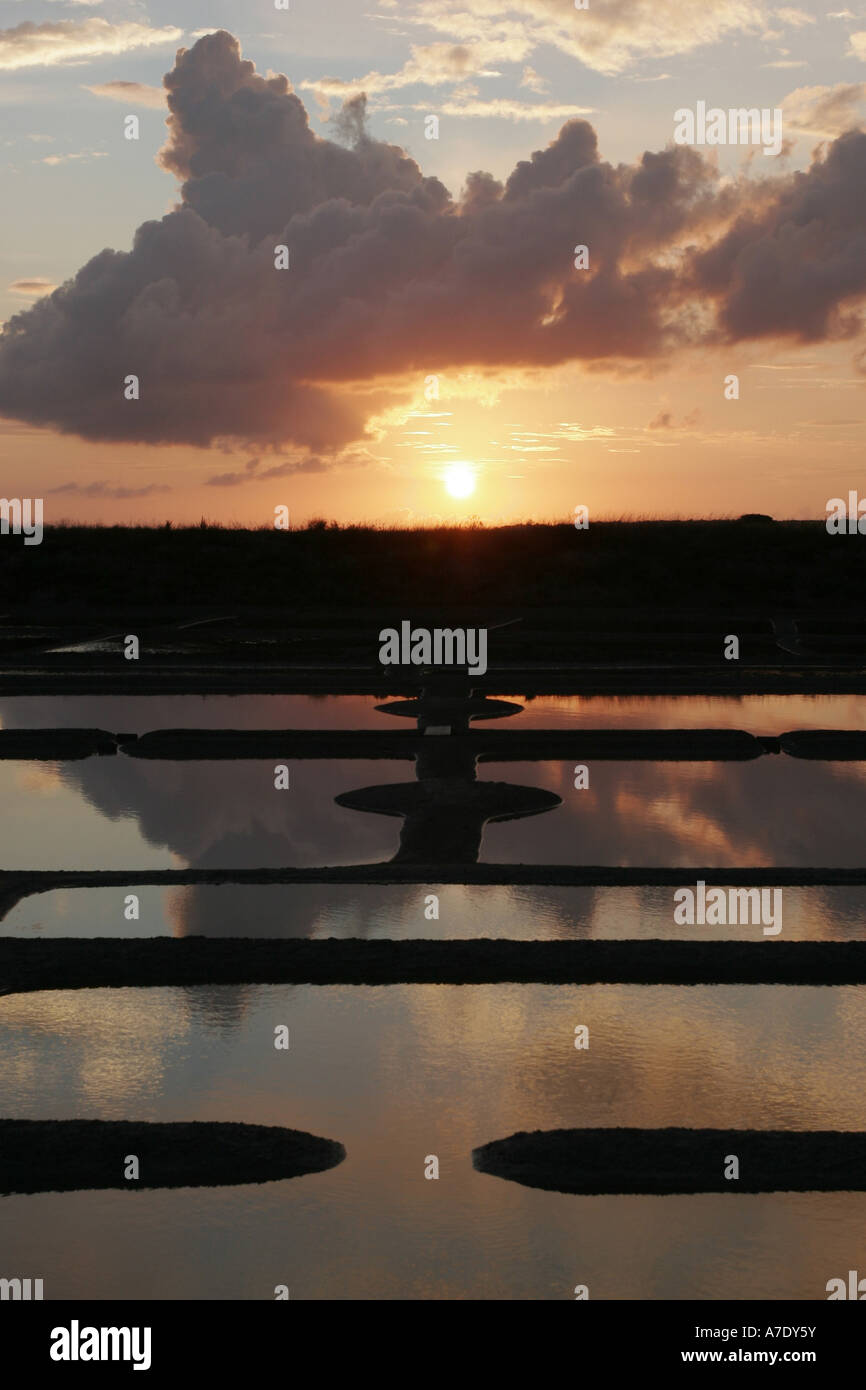 salt marshes back light at sunset, France, Loire Atlantique, NP Briere, Guerande Stock Photo