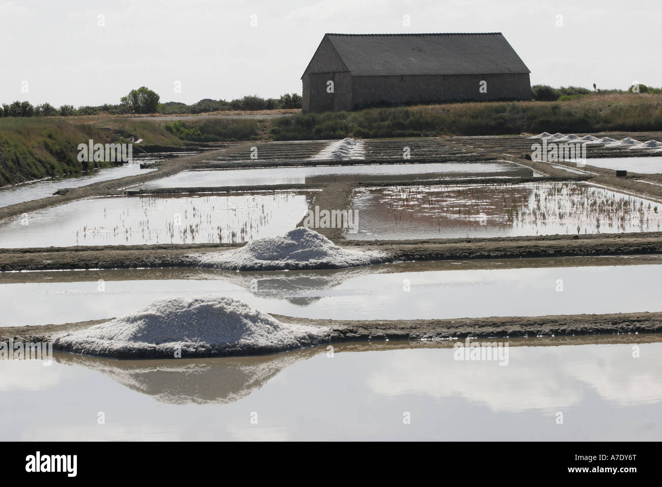 finished salt in front of the depot in the salt marshes, France, Brittany, Loire Atlantique, Guerande Stock Photo