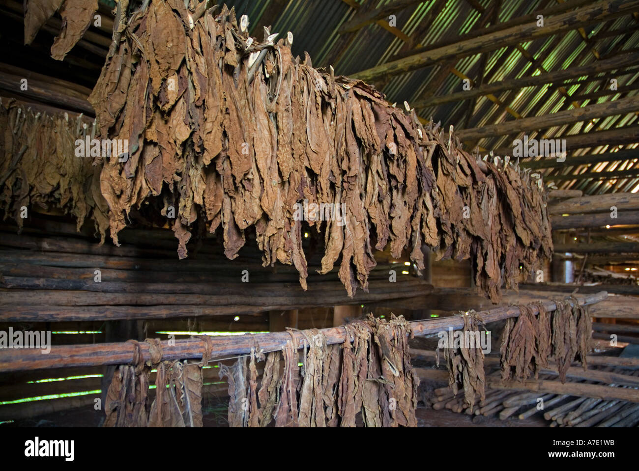 tobacco hut photos in Manassas Park, VA  Reviews, Hours, and Contact Details Tobacco huts hi-res stock photography