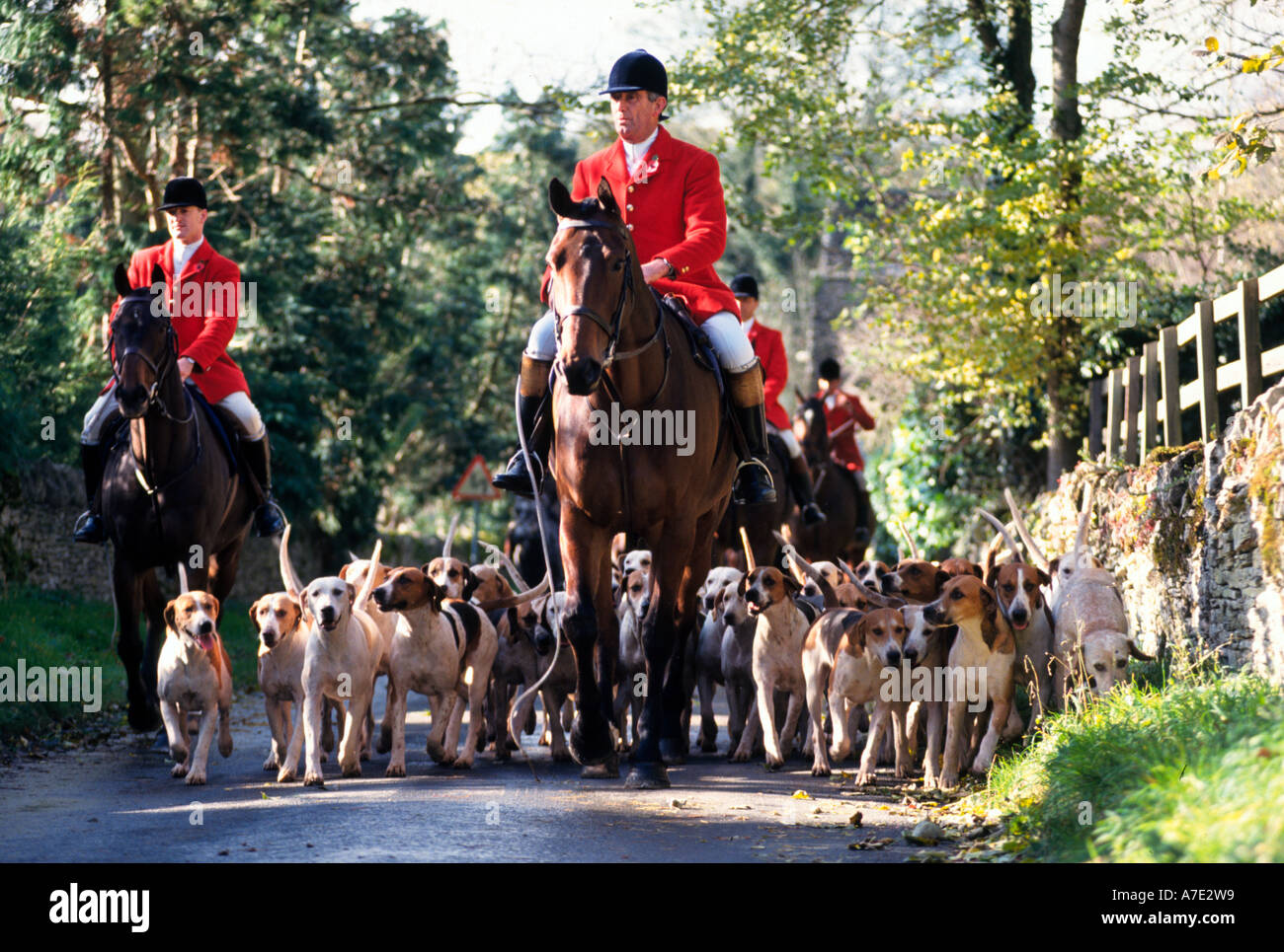 Fox hunting with dogs, Vale of the White Horse hunt Stock Photo