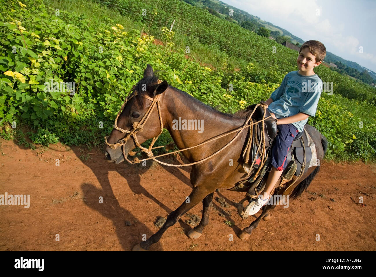 Boy looking happy to be riding a horse in the countryside, Vinales Valley,  Cuba Stock Photo - Alamy, image size:1300x959