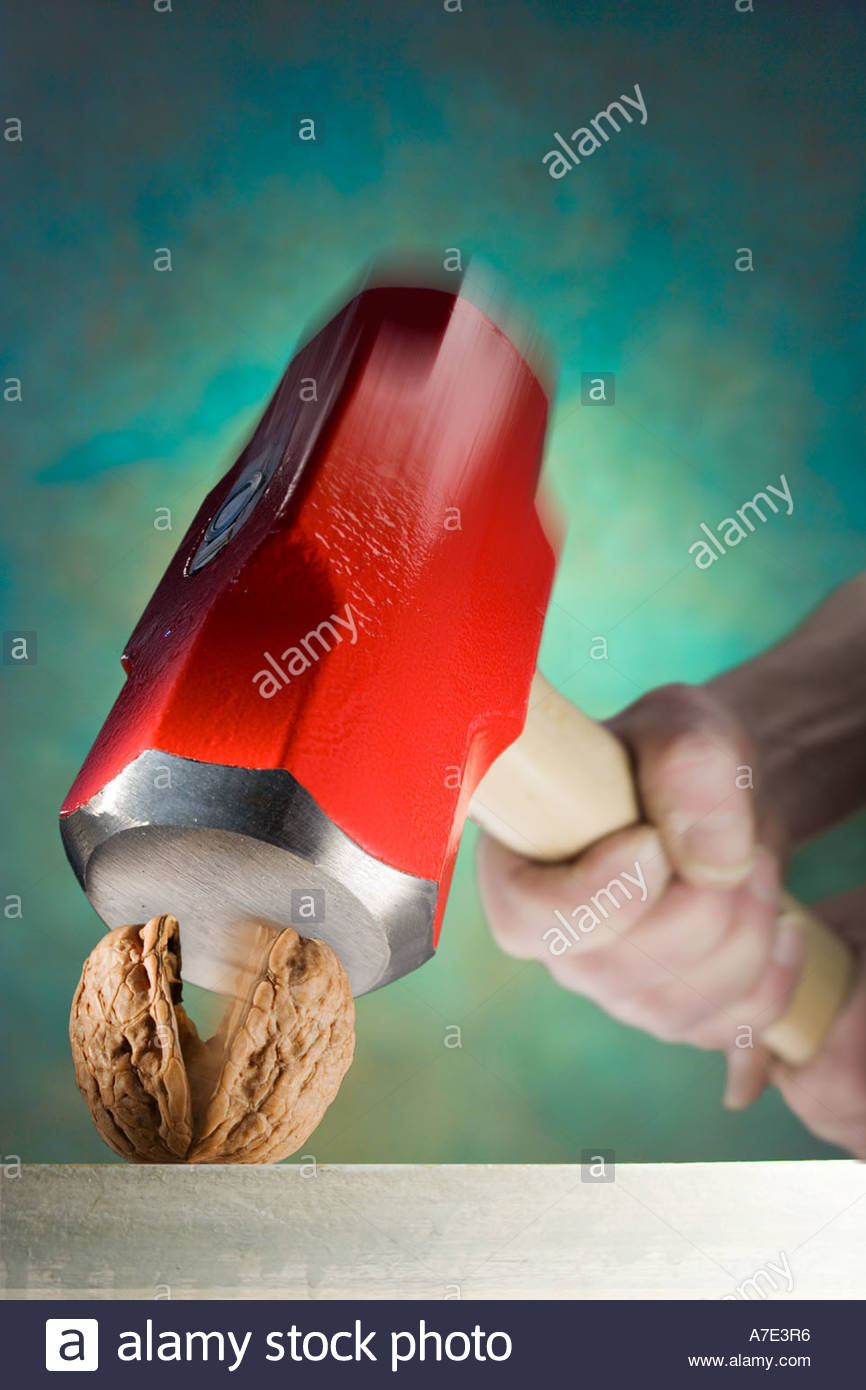 Sledgehammer Nut Stock Photos & Sledgehammer Nut Stock Images Alamy