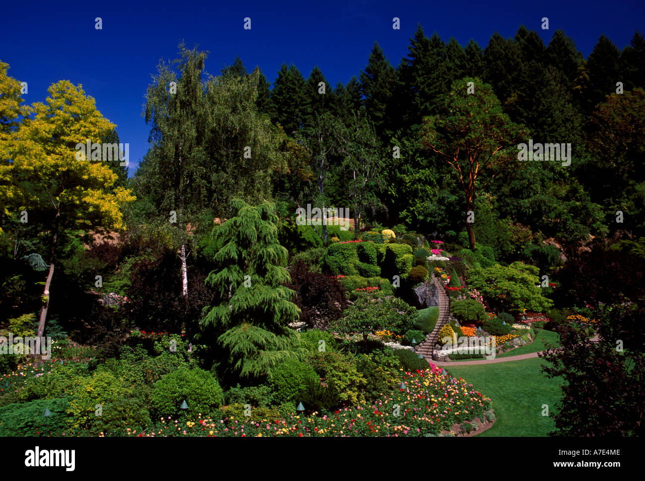 Sunken Garden at Butchart Gardens a botanic garden in the city of Victoria on Vancouver Island in British Columbia in Canada Stock Photo