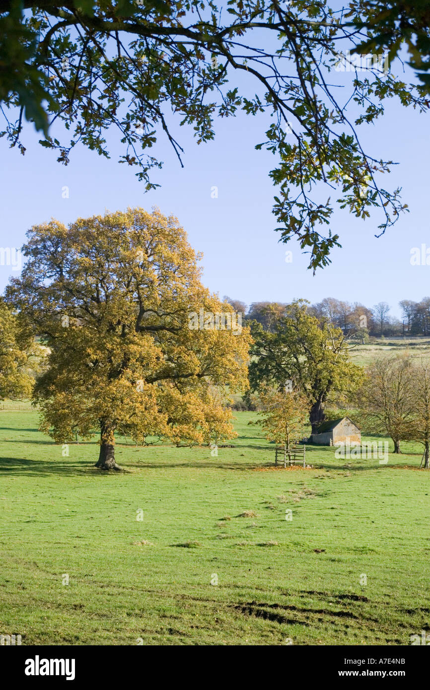 Autumn in the Cotswolds near Stanway, Gloucestershire Stock Photo
