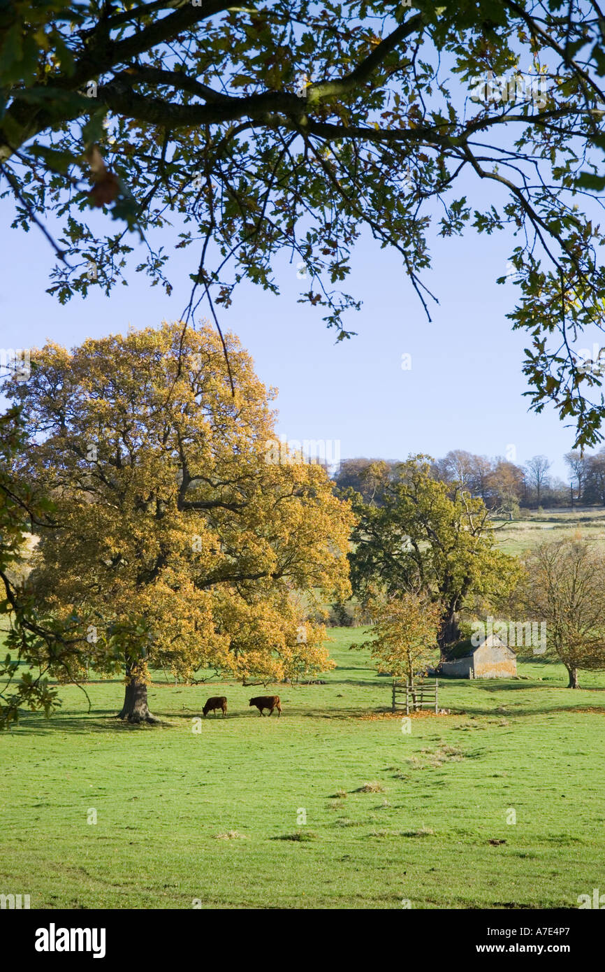 Autumn in the Cotswolds near Stanway, Gloucestershire Stock Photo