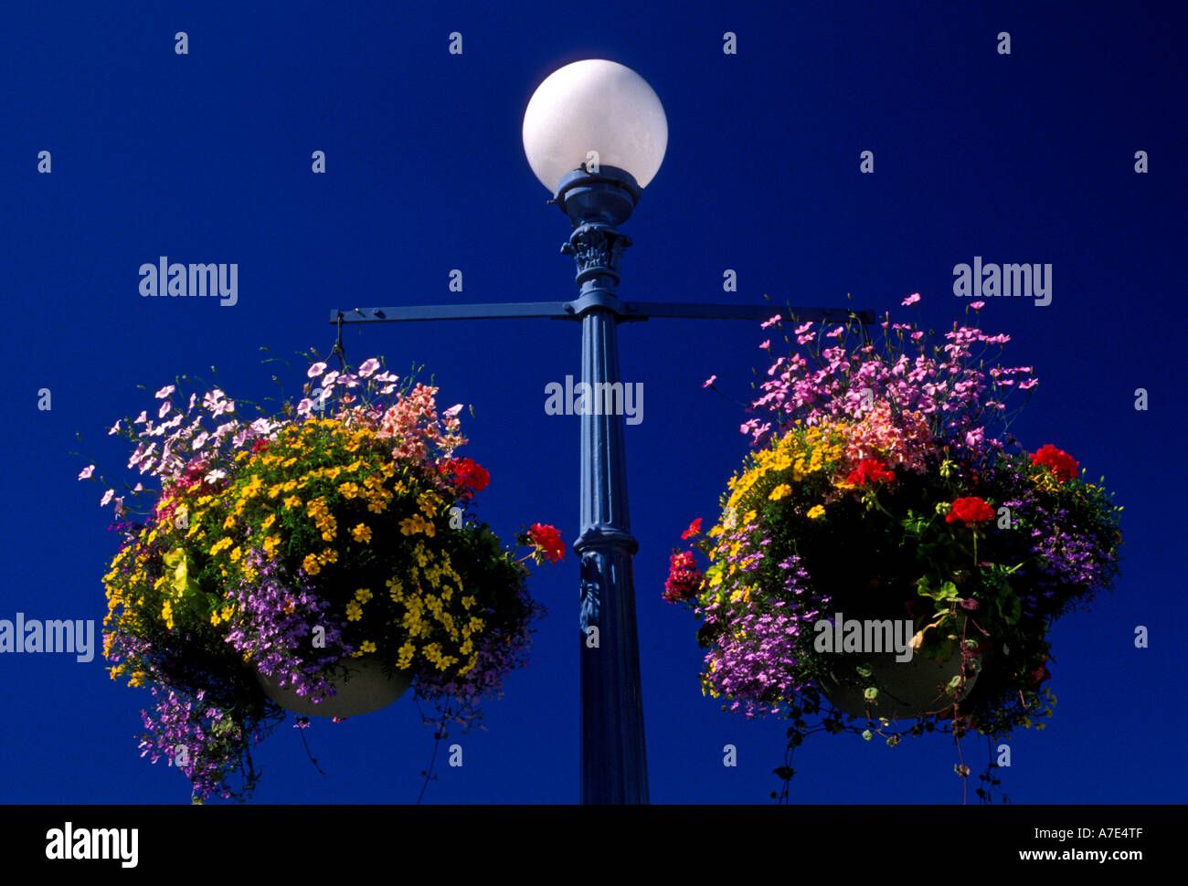lamppost, baskets of flowers, city of Victoria, Vancouver, British Columbia, Canada Stock Photo