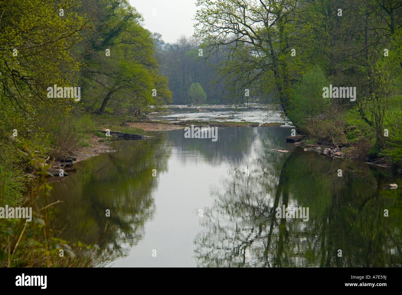 River usk and fishing hi-res stock photography and images - Alamy