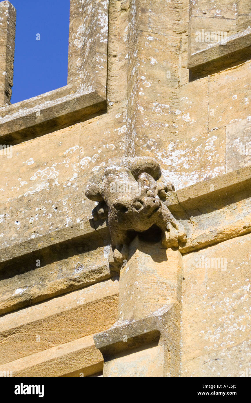 Medieval gargoyle on St Peters church (1465) in the Cotswold town of Winchcombe, Gloucestershire UK Stock Photo