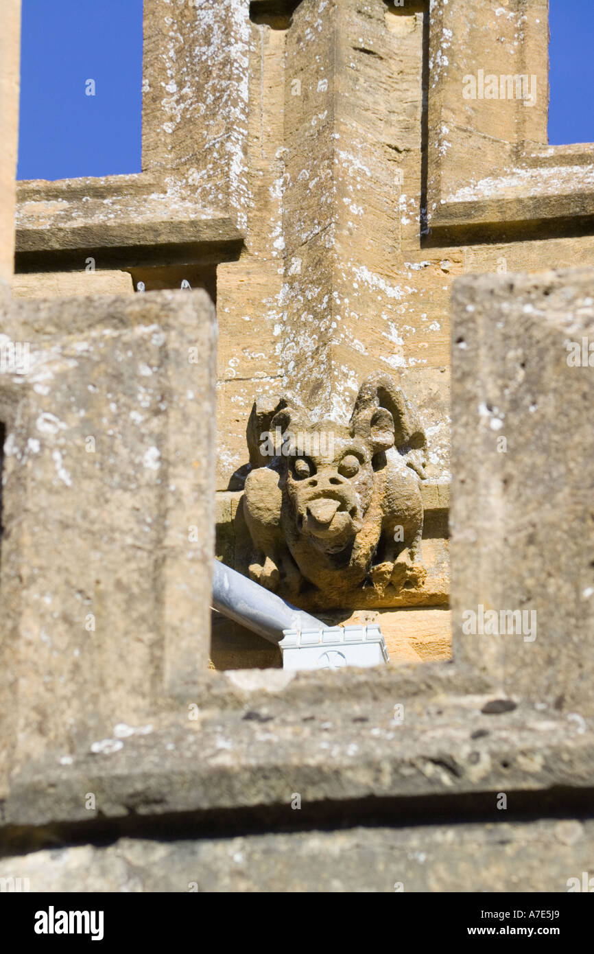 Medieval gargoyle on St Peters church (1465) in the Cotswold town of Winchcombe, Gloucestershire Stock Photo