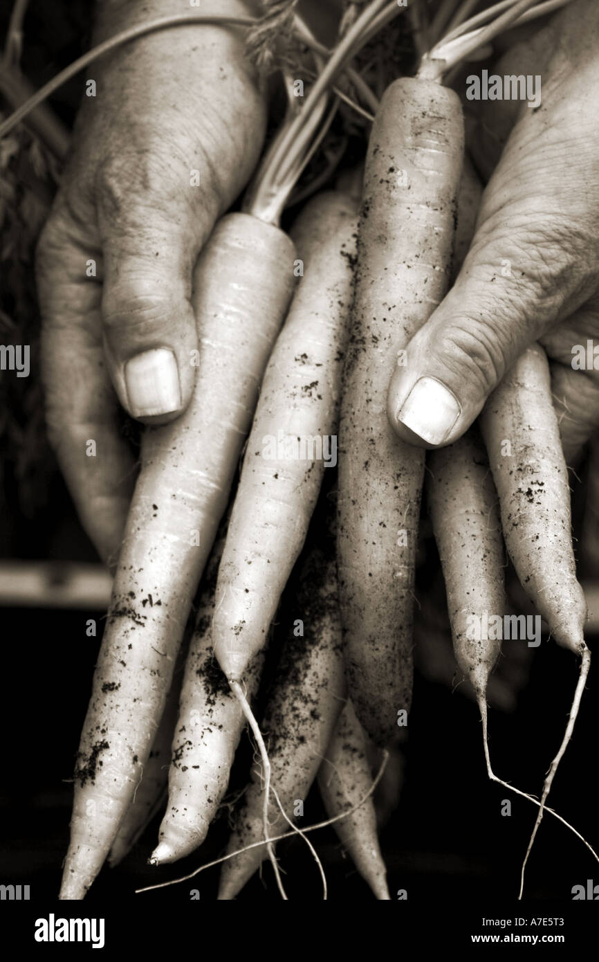 Black and white planting hi-res stock photography and images - Alamy