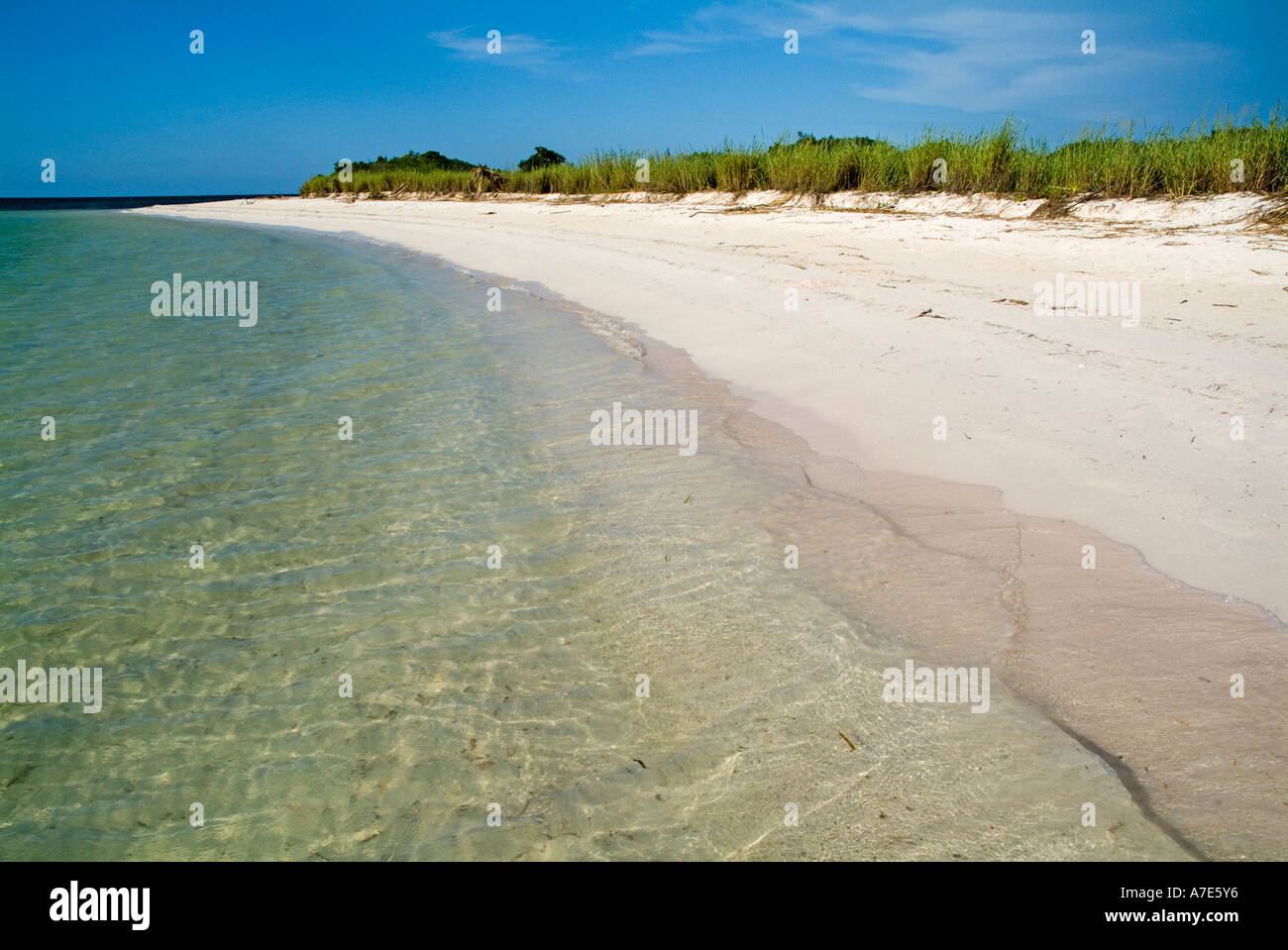 Transparent water and white sandy beach, Cayo Jutias, Cuba. Stock Photo