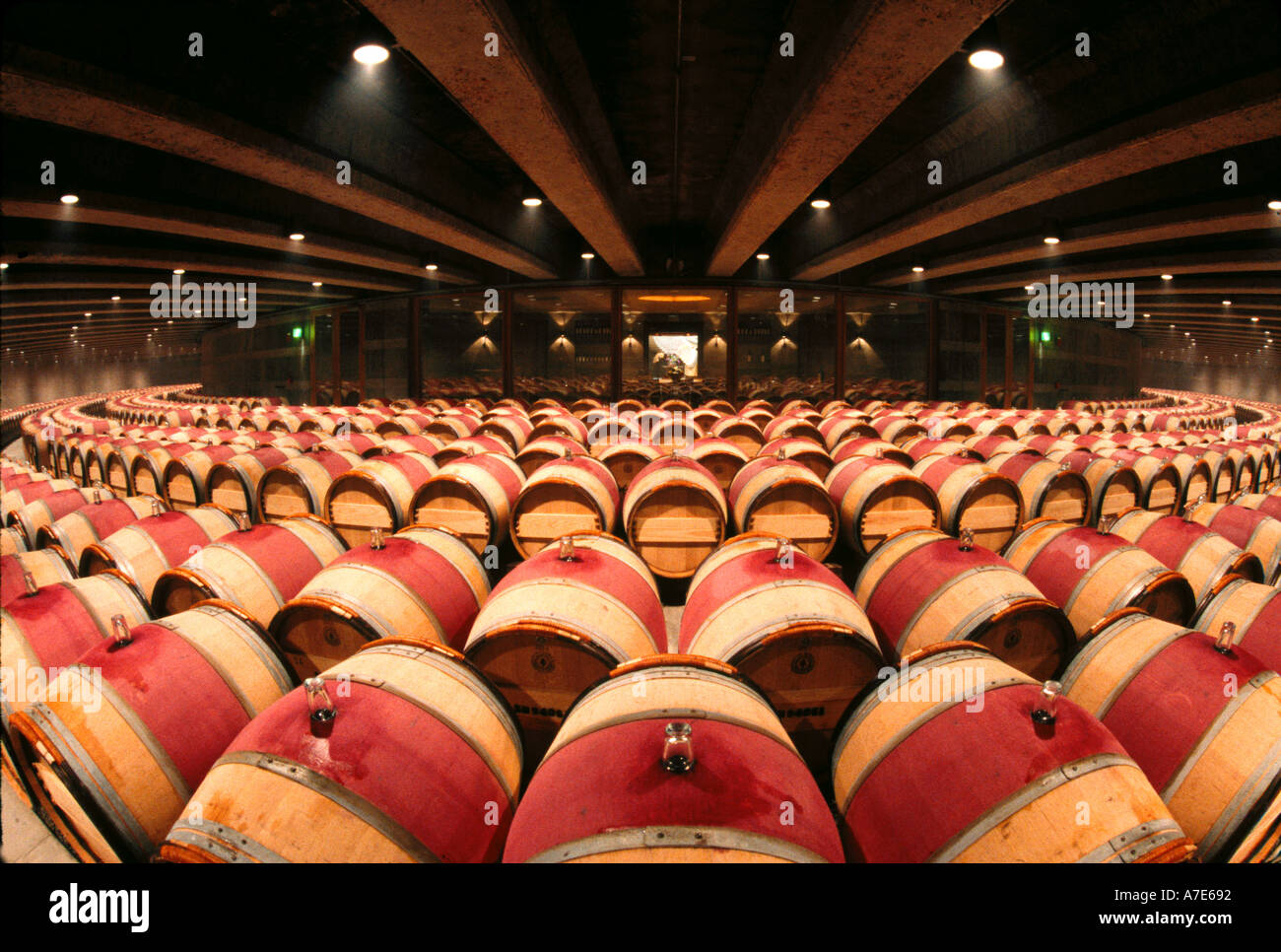 Wine barrels circular cellar wine alcohol drink barrel red winemaking