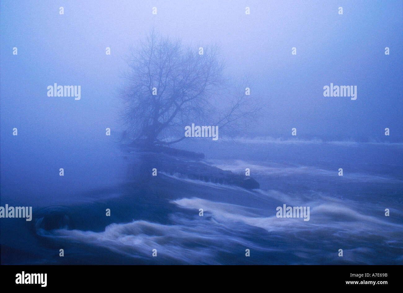 Fog shrouded middle hi-res stock photography and images - Alamy