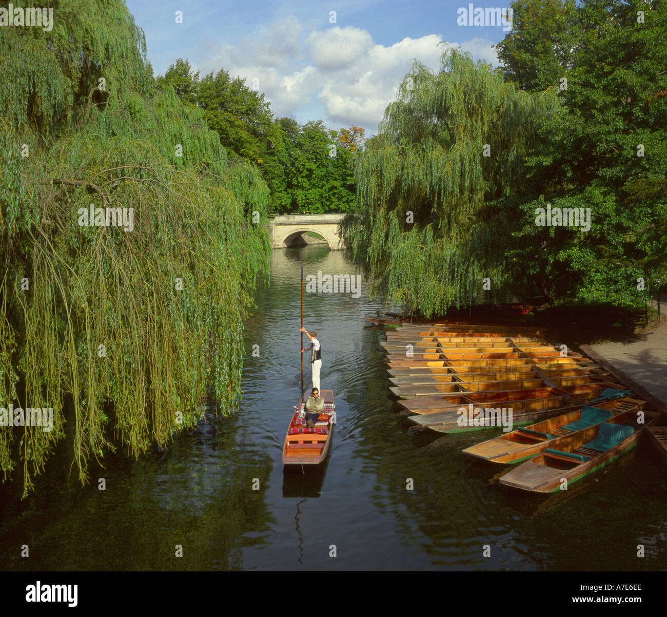 Punting along the River Cam in Cambridge The Backs Cambridgeshire East Anglia England UK Stock Photo