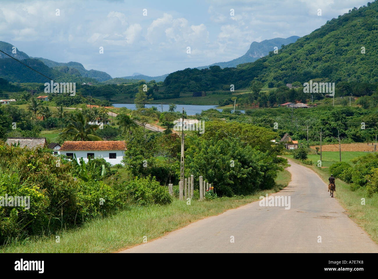 Man riding his horse along a rural road in the Vinales Valley, Cuba. Stock Photo