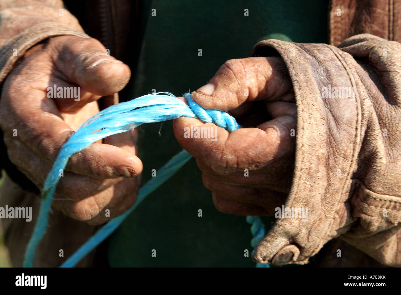 close up of a Shepherd tying knots for goat rope Algarve Portugal Europe Stock Photo