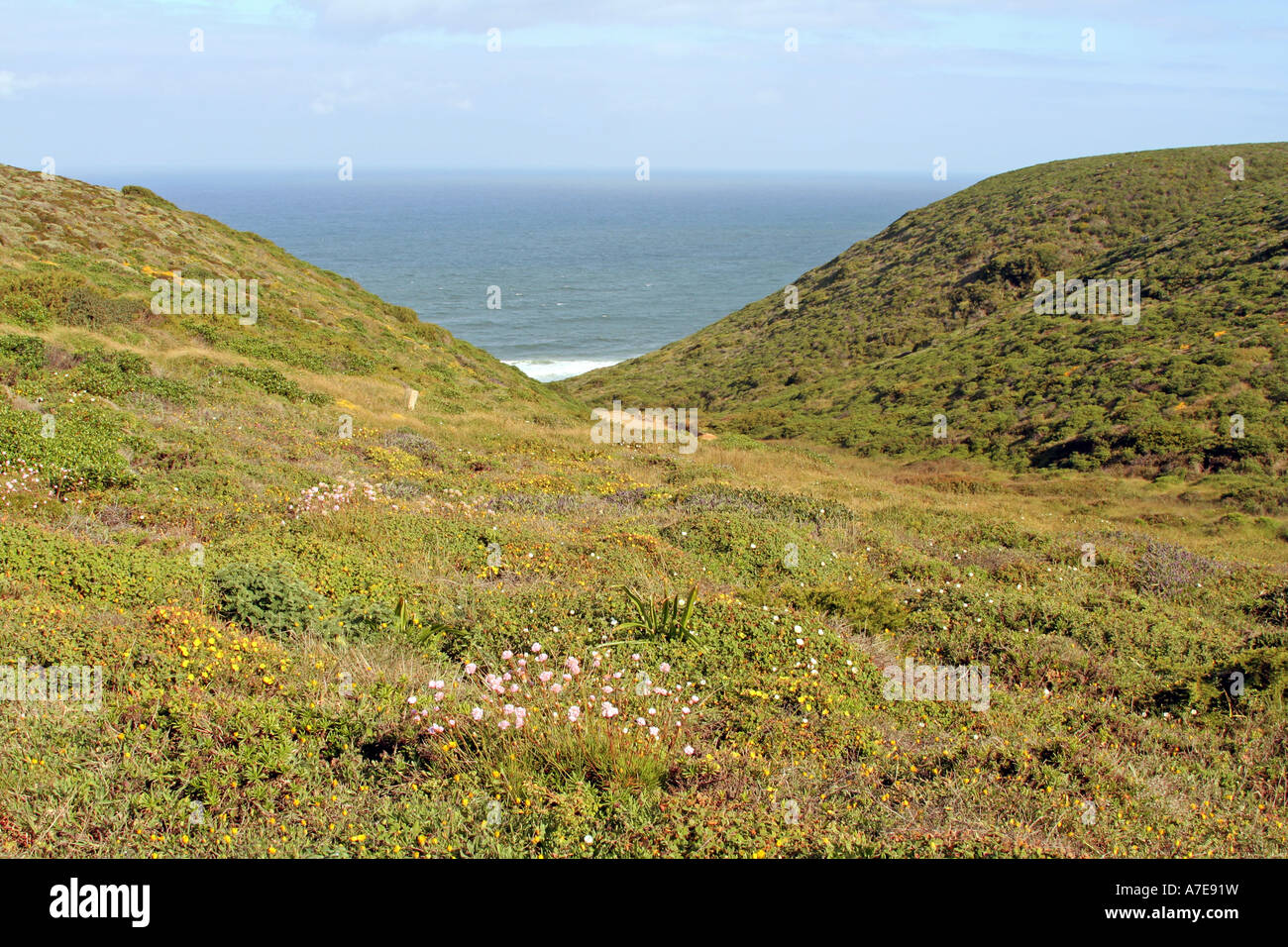 Spring landscape and lonely coast Costa Vicentina Nature Reserve Sagres Algarve Portugal Europe Stock Photo