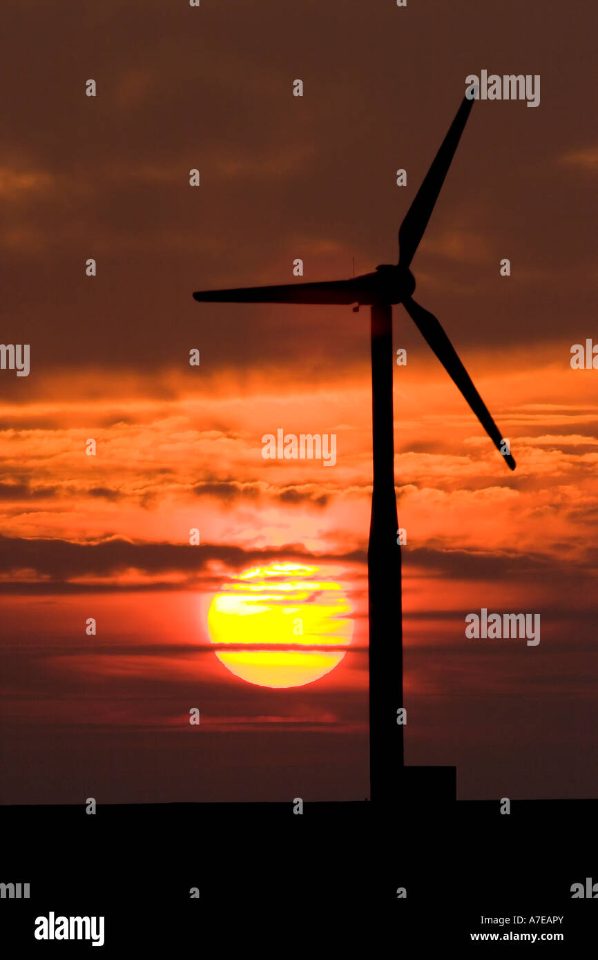 A wind turbine at sunset near the North Sea shore Stock Photo