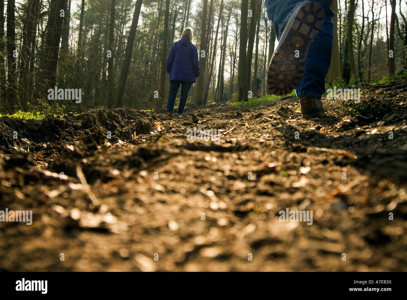 ramblers walking along the North Downs Way Ranmore Dorking UK Stock Photo