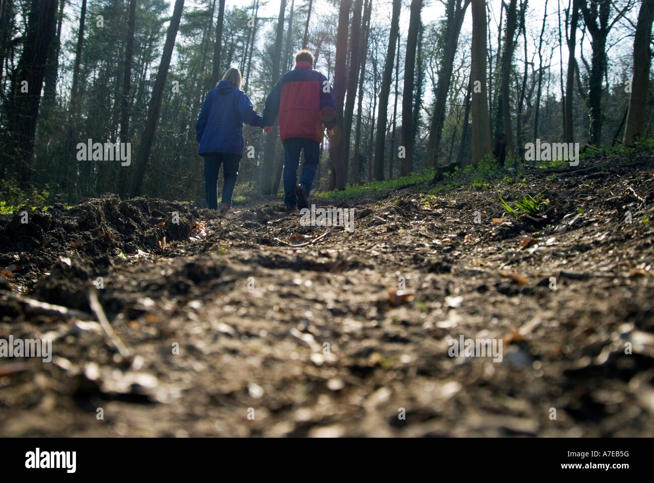 ramblers walking along the North Downs Way Ranmore Dorking UK Stock Photo