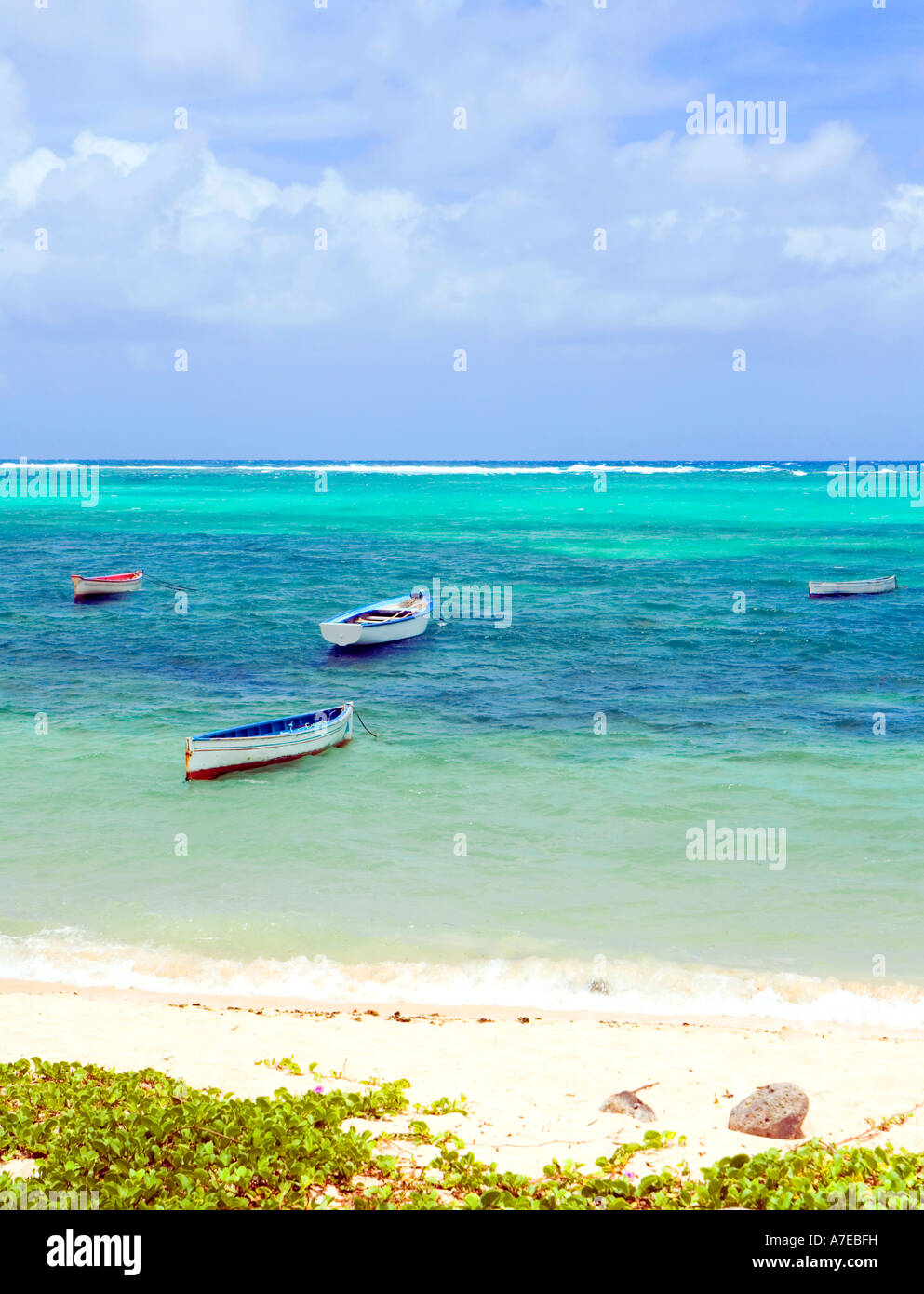 Fishing boats - Rodrigues, 'Mauritius Regional Assembly' (Tiny Mauritian island) Stock Photo