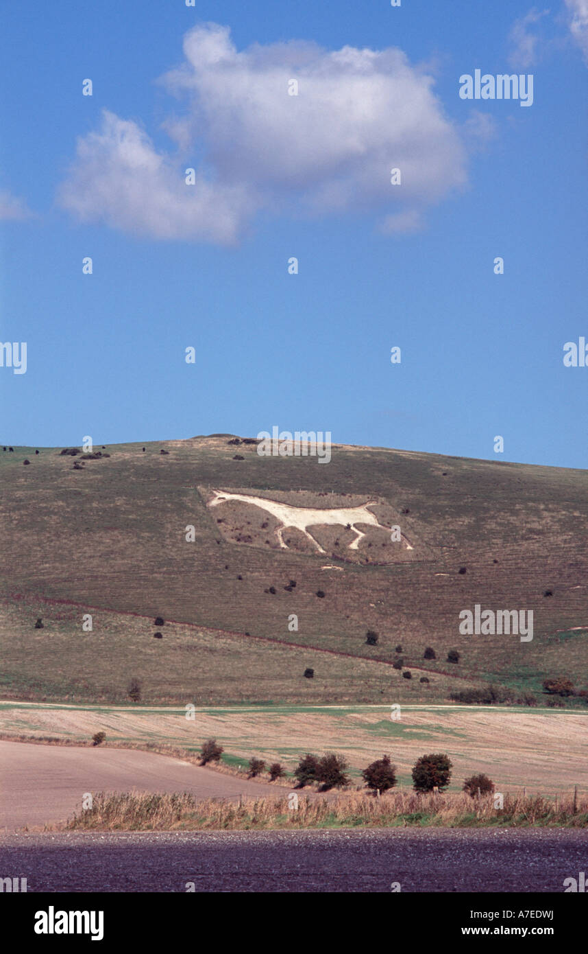 The White Horse on Milk Hill, near Alton Barnes, Vale of Pewsey