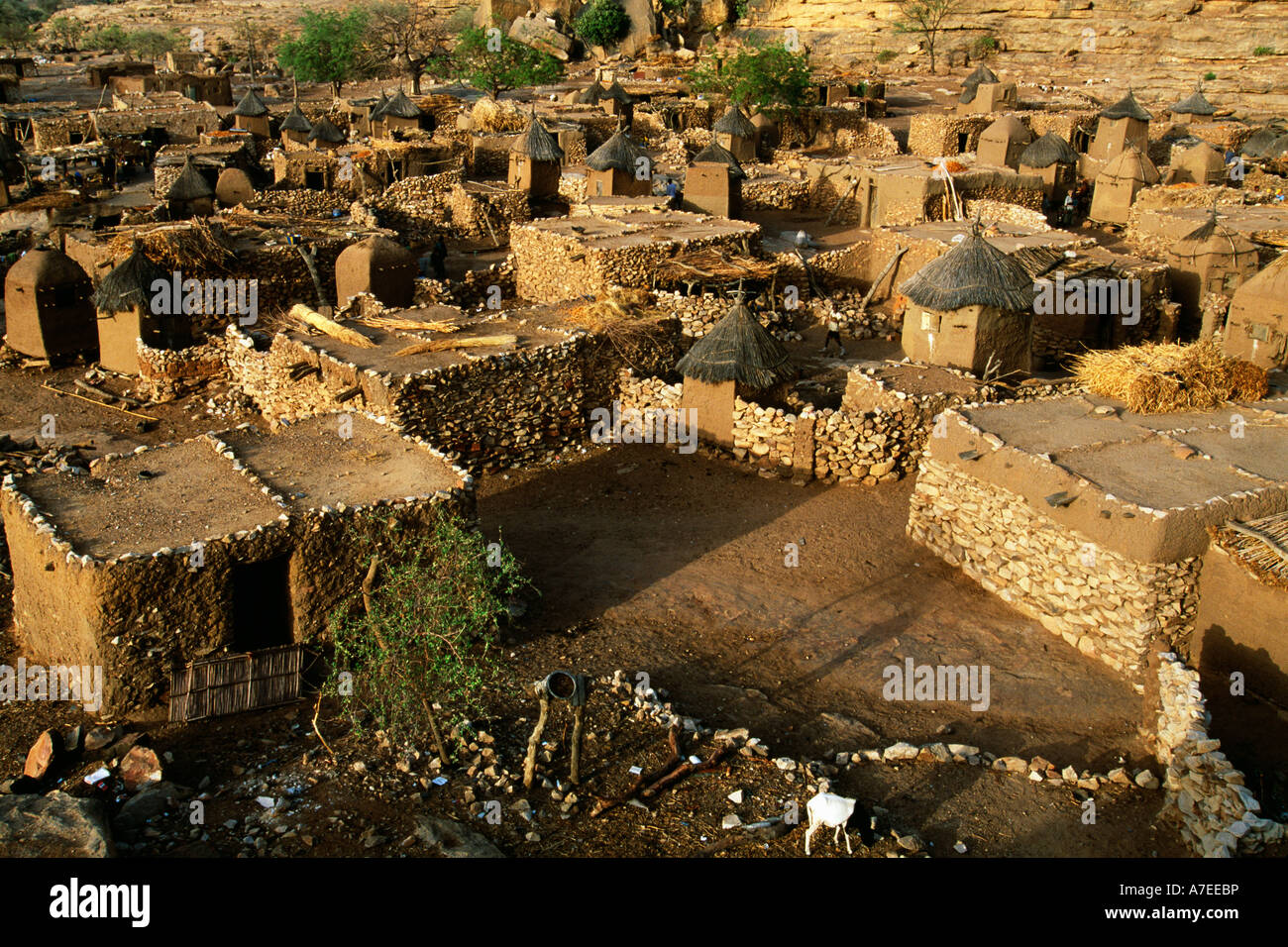 Begnimato, Dogon Country, Mali; traditional mud houses and granaries
