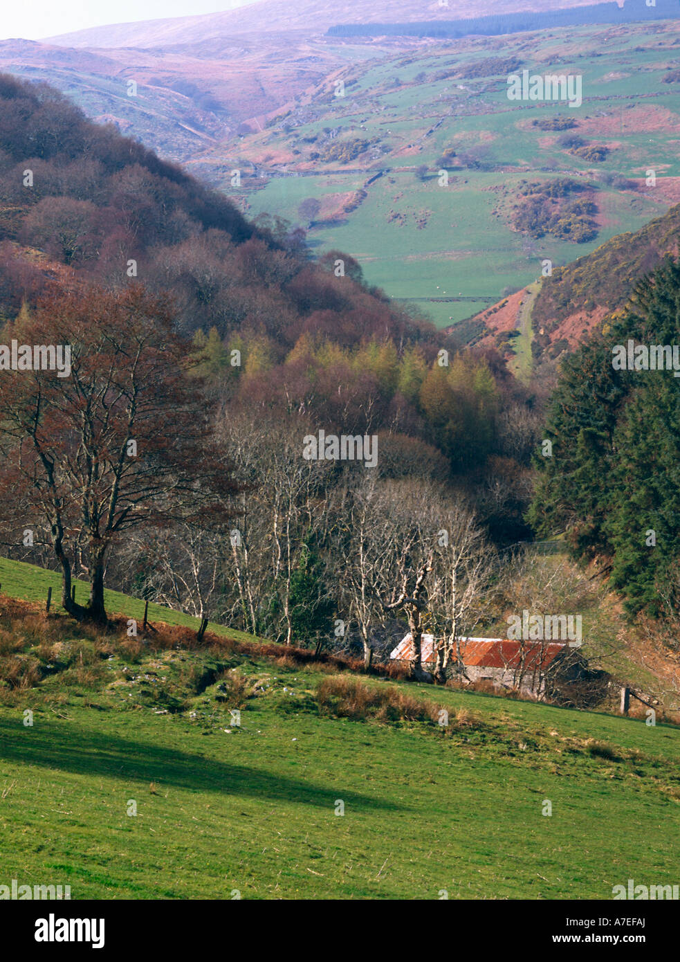 Towards Braich Ddu  Happy Valley Snowdonia NW Wales UK Stock Photo