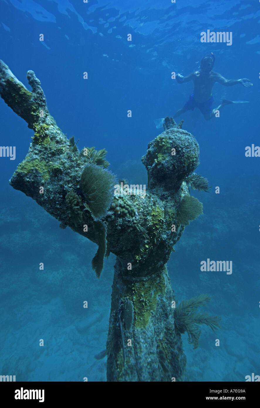 Introducir 77+ imagen underwater jesus statue cozumel Abzlocal.mx