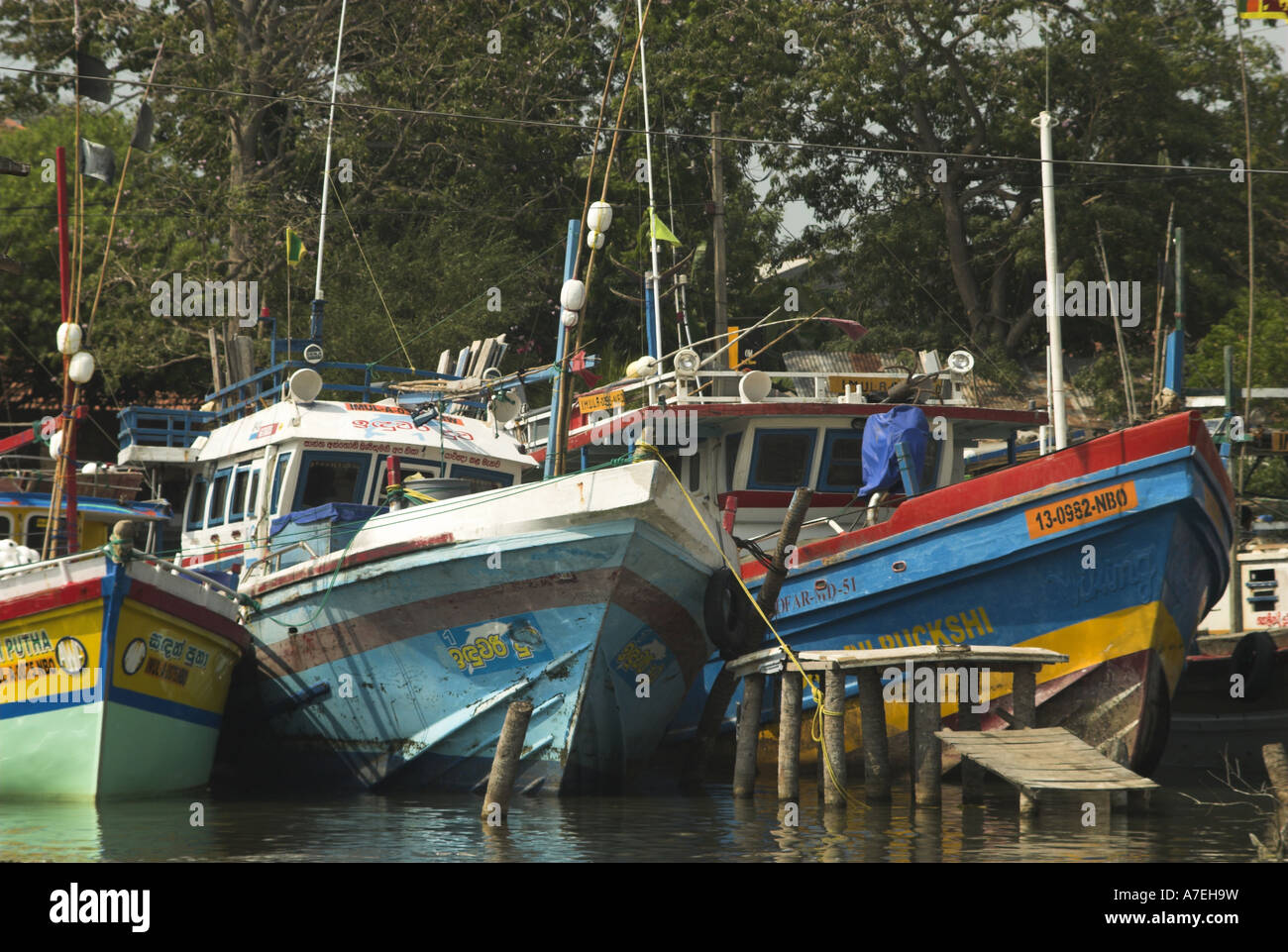 Fishing harbour Negombo Sri Lanka Stock Photo - Alamy