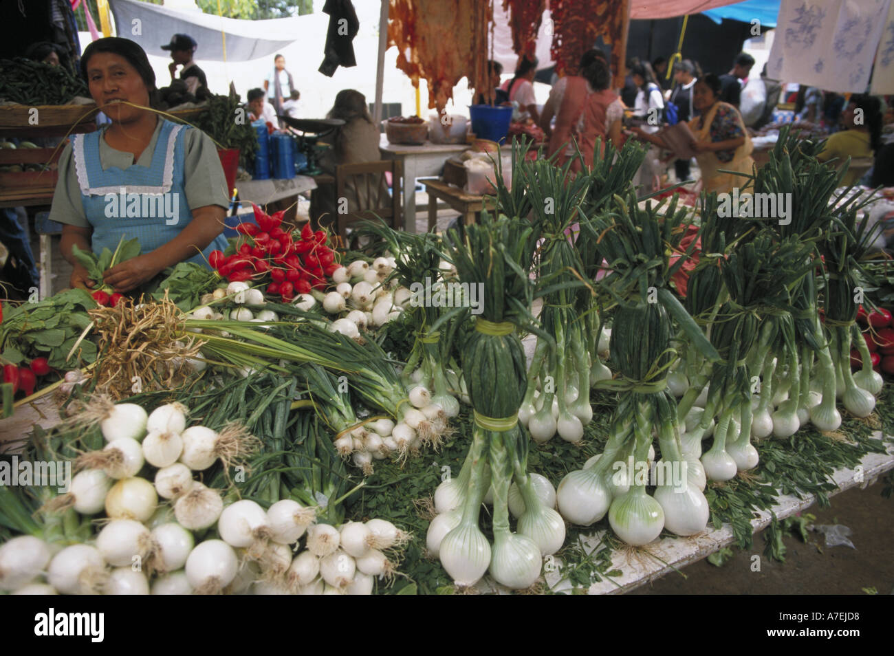 North America, Mexico, Oaxaca Vendor with fresh produce at market Stock Photo Alamy