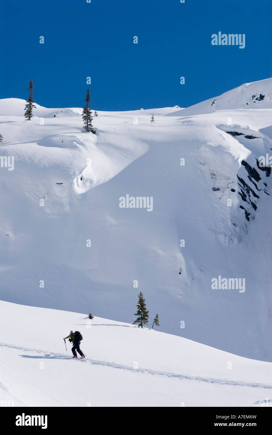 Skier skinning,  Rogers Pass area, Selkirk Mountains, Canadian Rockies, British Columbia, Canada Stock Photo