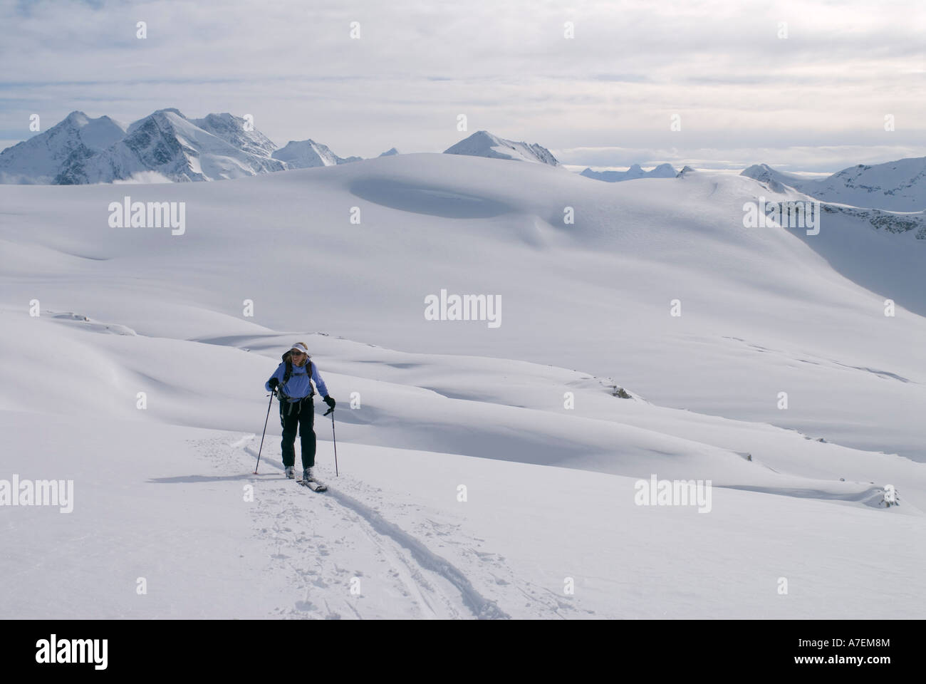 Skier skinning on The Illicilliwaet Glacier, Rogers Pass area, Selkirk Mountains, Canadian Rockies, British Columbia, Canada Stock Photo