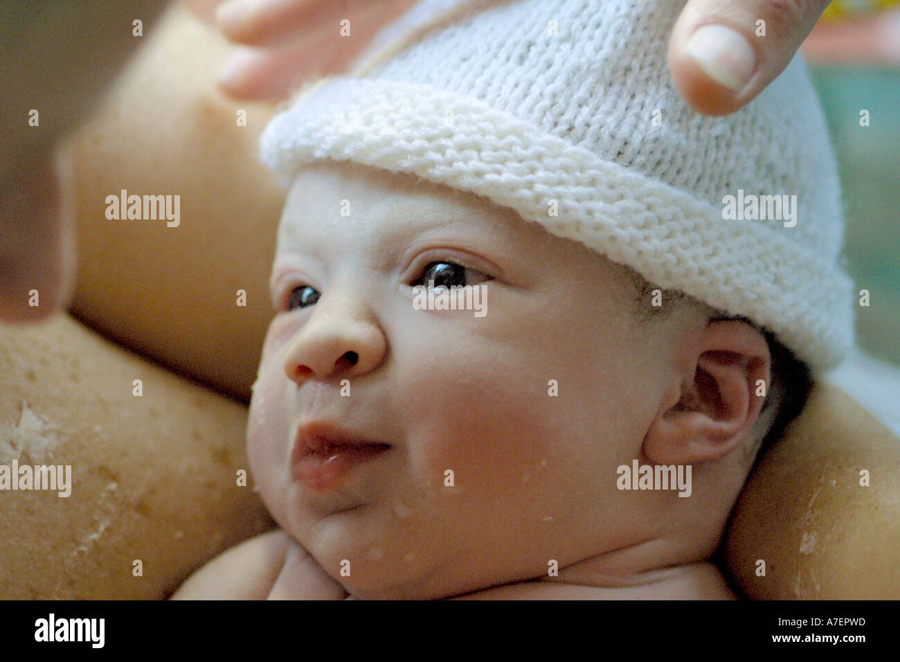 Waterbirth hires stock photography and images Alamy