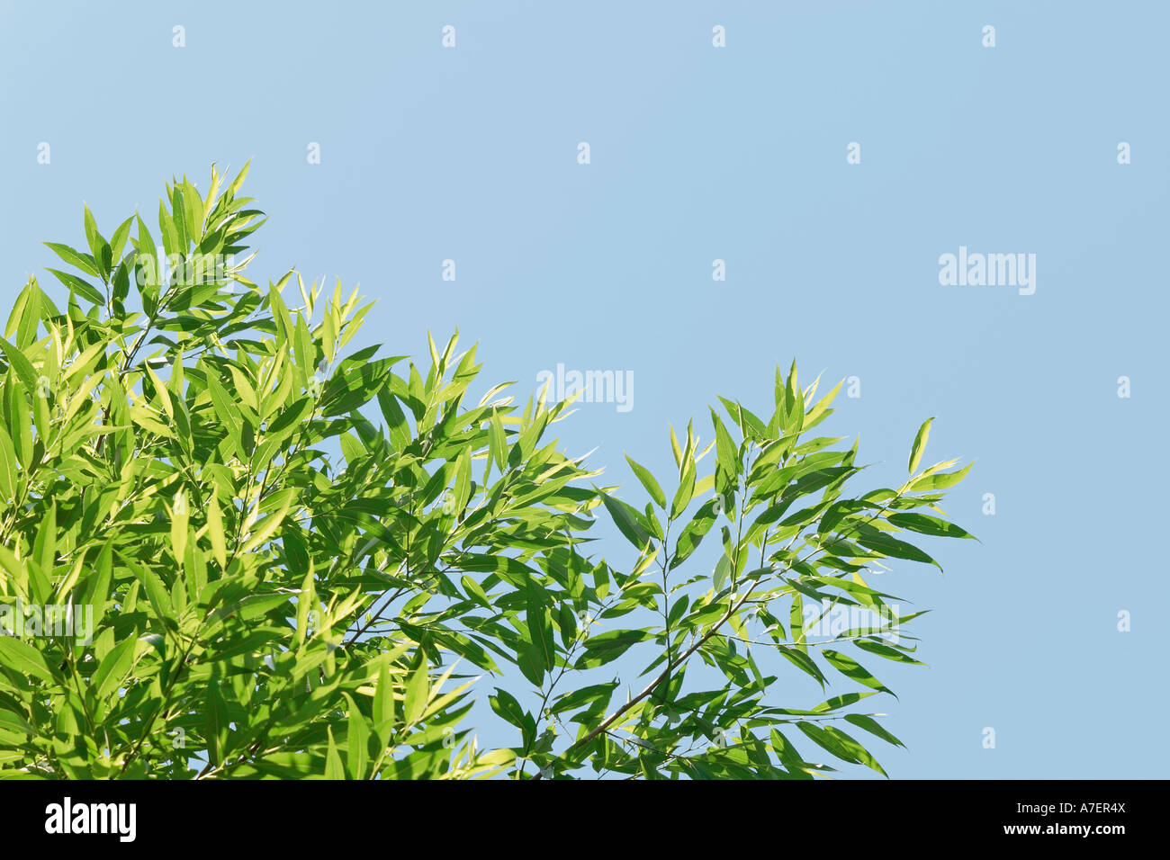 Space of leisure Cut Out Stock Images & Pictures - Alamy