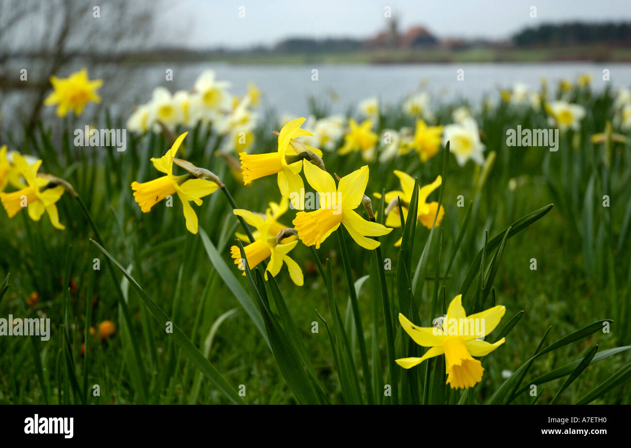 Caldecotte hires stock photography and images Alamy