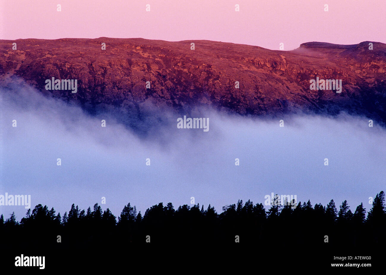 Mist nature hi-res stock photography and images - Alamy