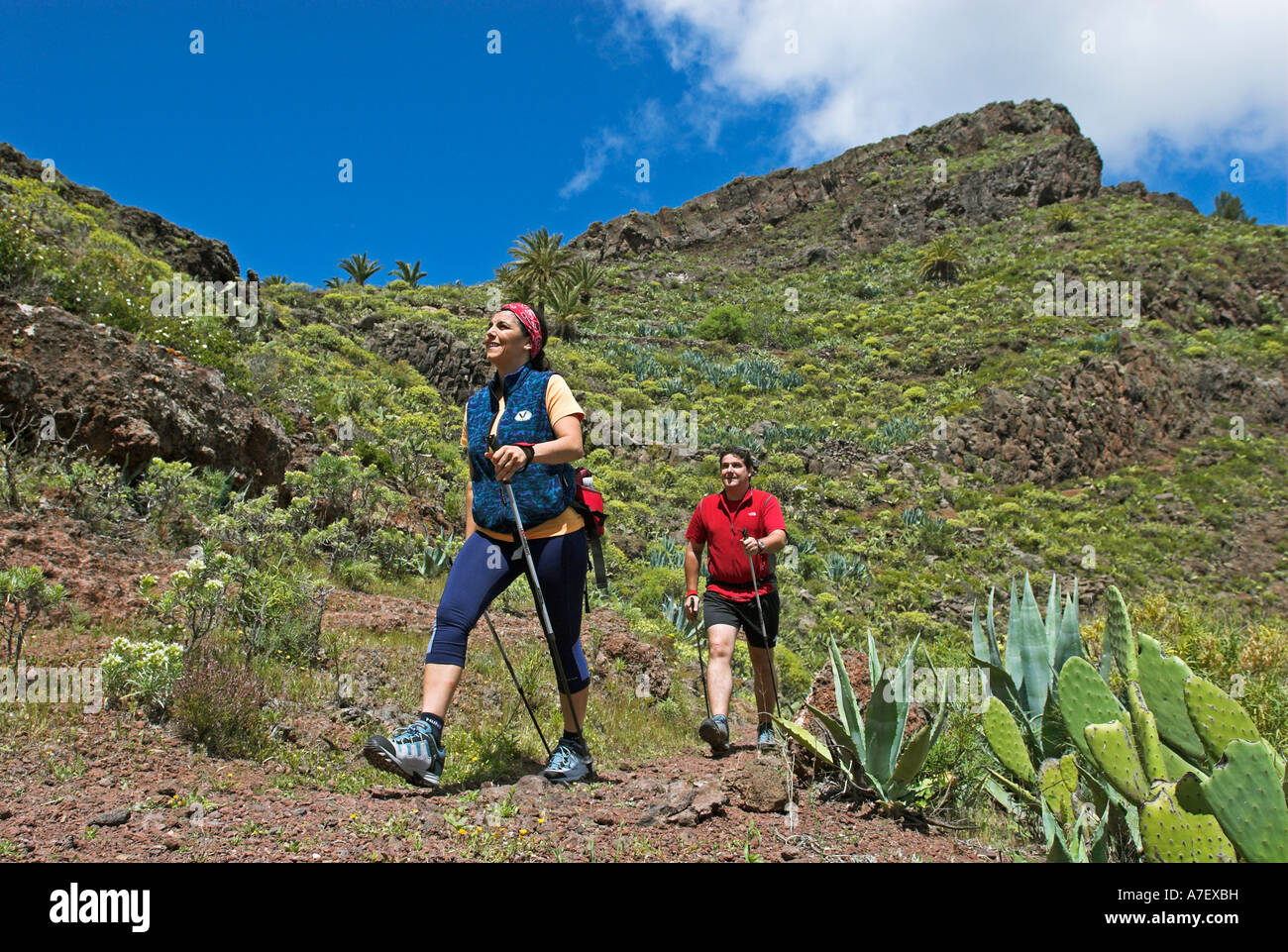 Hiker/Nordic Walker, La Gomera Island, Canary Islands, Spain, Europe Stock Photo