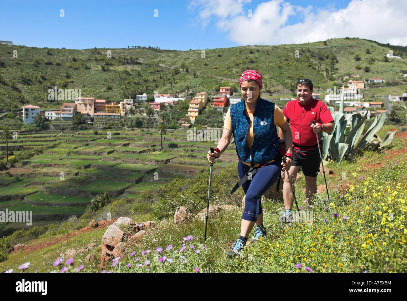 Hiker/Nordic Walker, La Gomera Island, Canary Islands, Spain, Europe Stock Photo