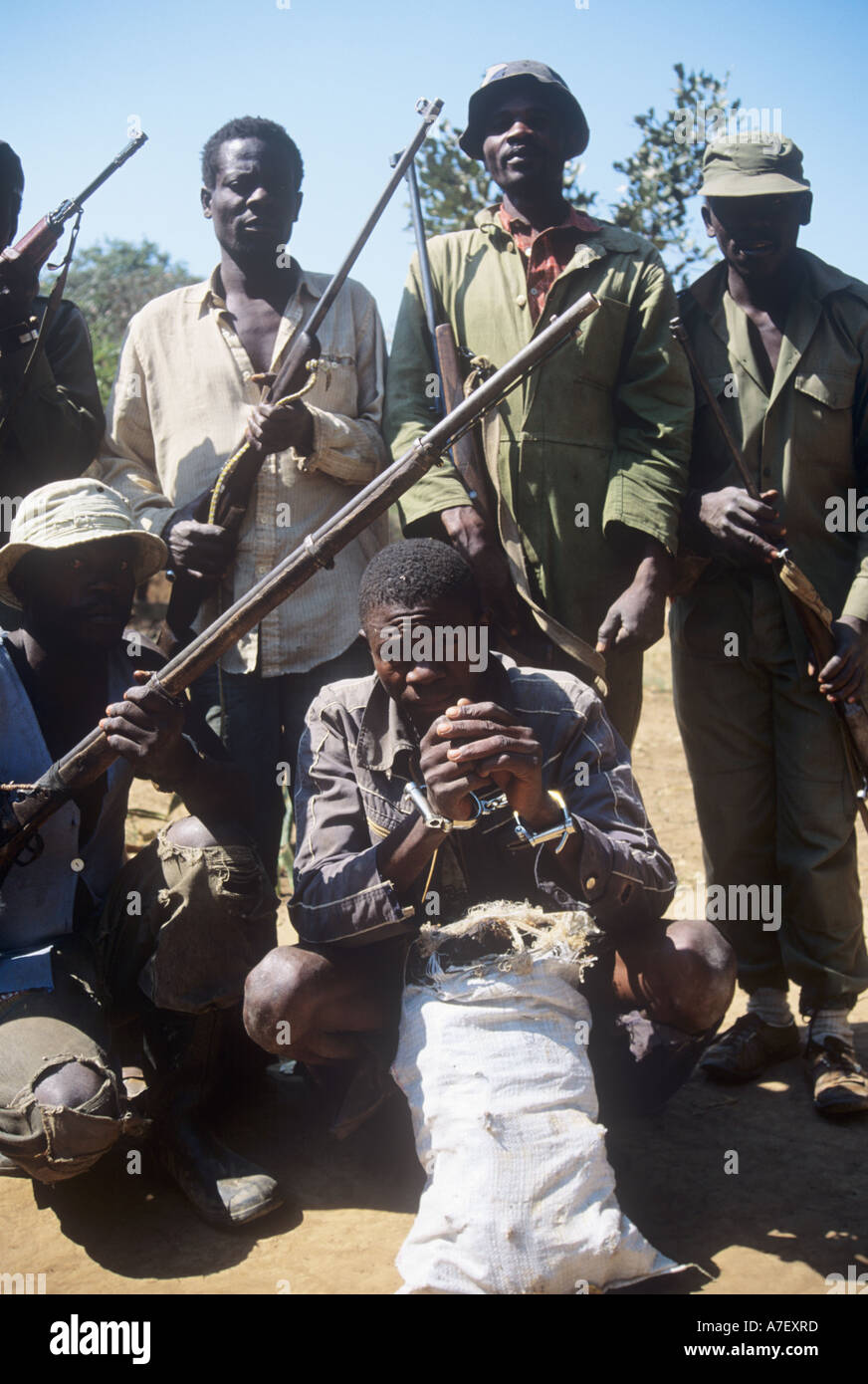 Game wardens with captured poacher in Zambia Stock Photo