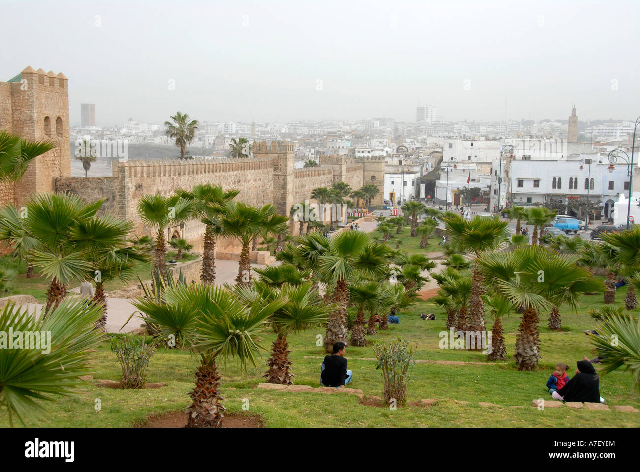 Trees Rabat Palm trees in a park at ancient city walls Kasbah des Oudaias Rabat ...