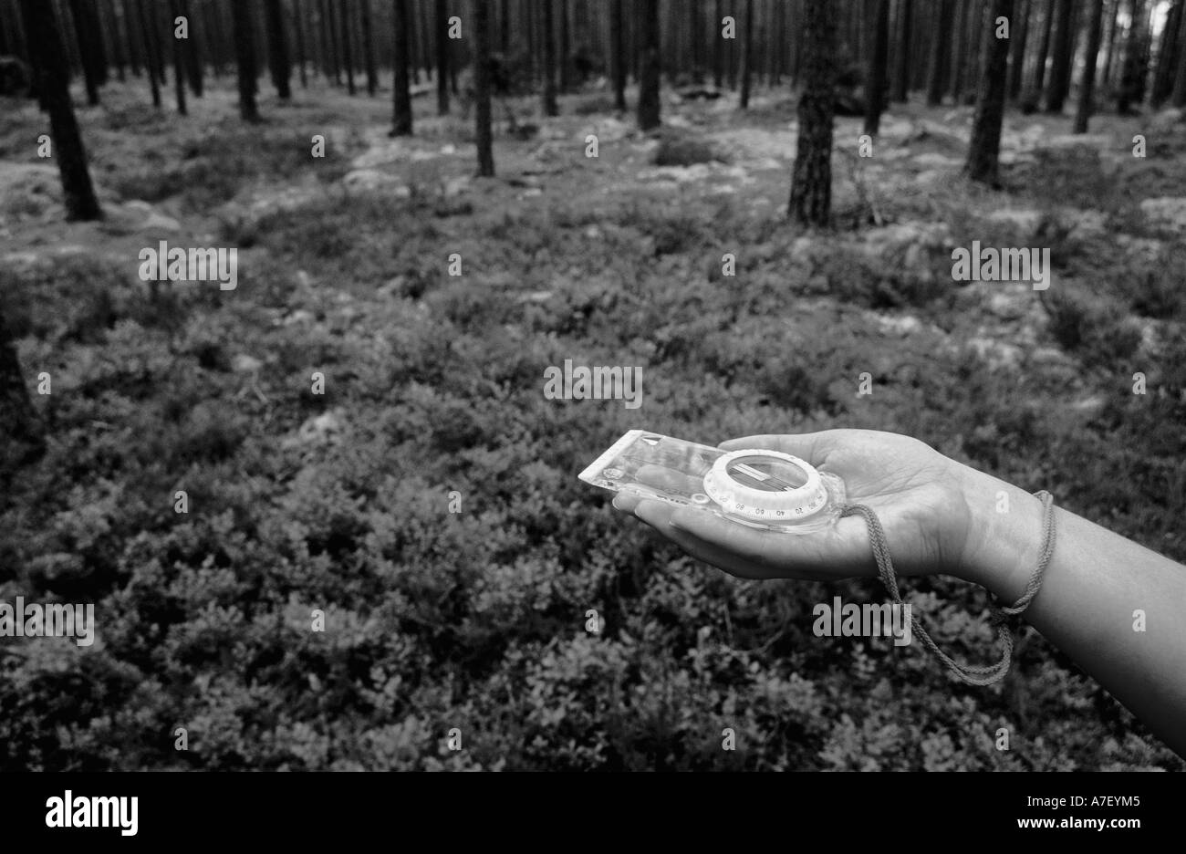 Reading compass Black and White Stock Photos & Images - Alamy